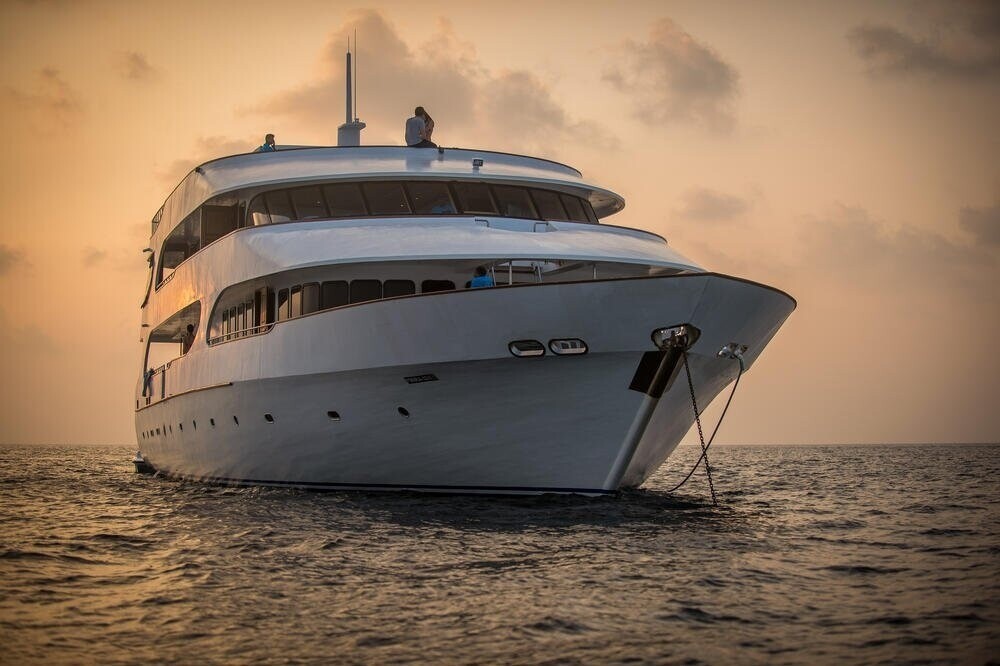 Best Boat Shipping Companies