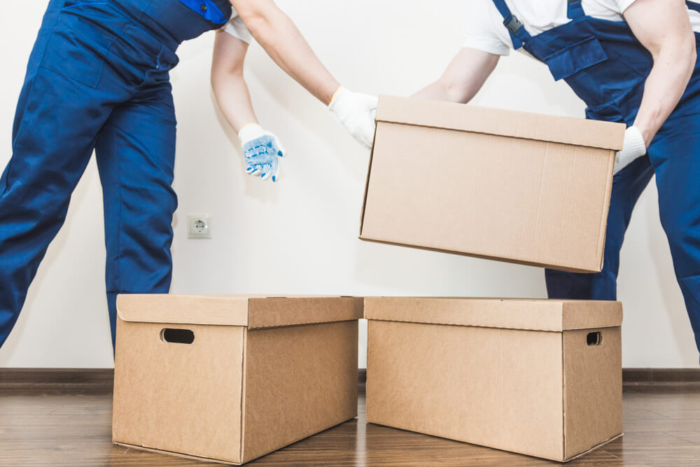 Safe furniture handling Jupiter