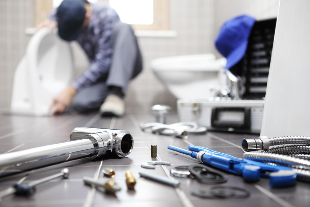 Professional Plumber Repair