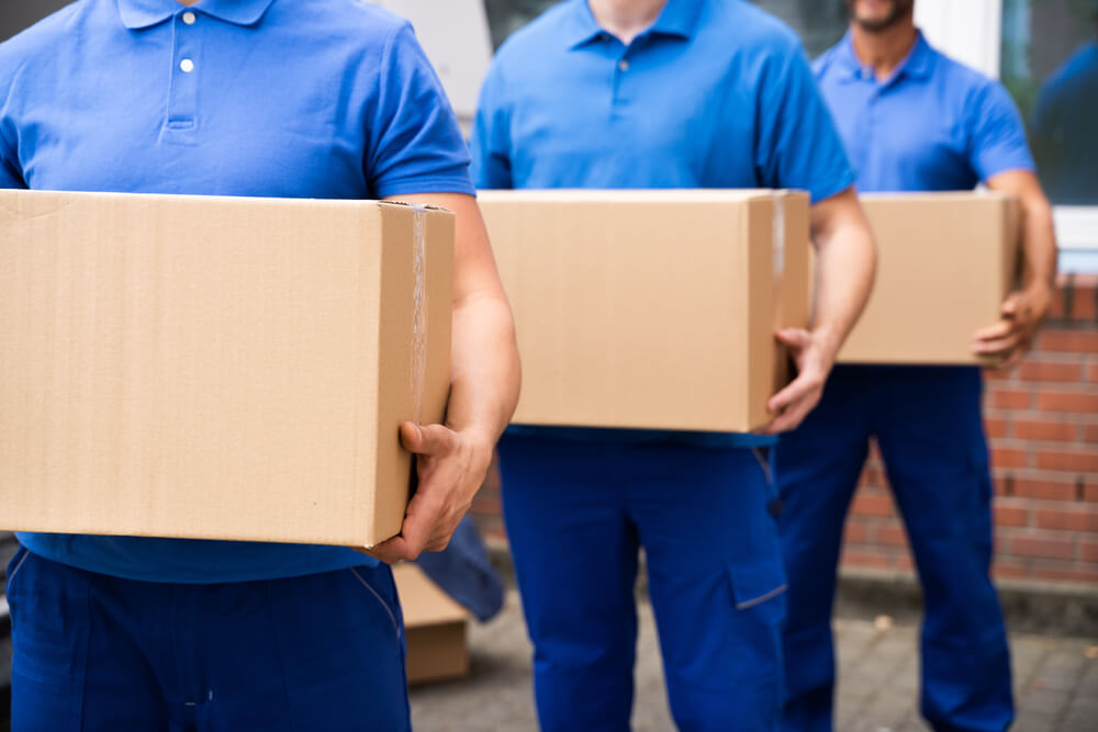 Reliable Movers Near Me Dunedin